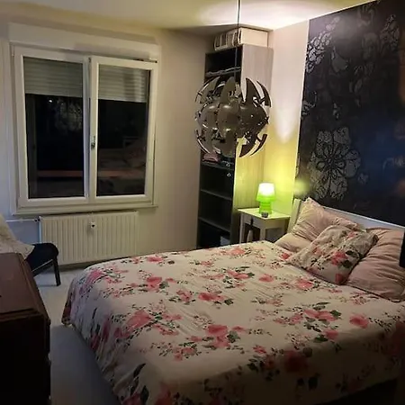 Charmant, Appartement, Parking Gratuit * 콜마